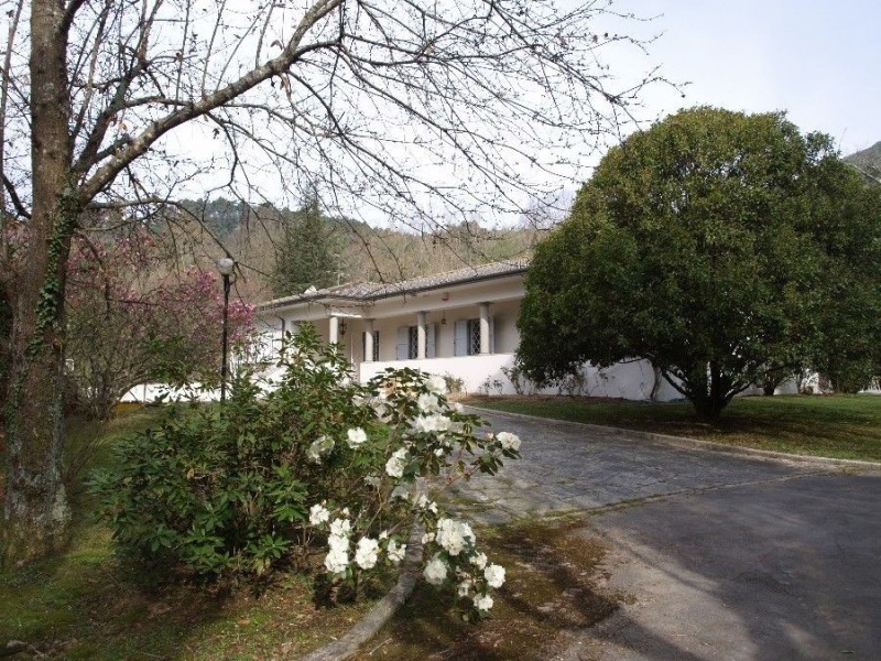 Villa singola in vendita a Camaiore