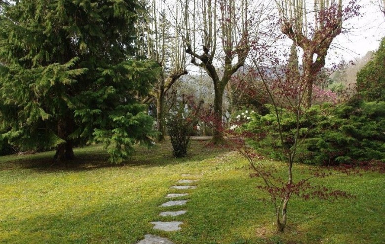 Villa singola in vendita a Camaiore