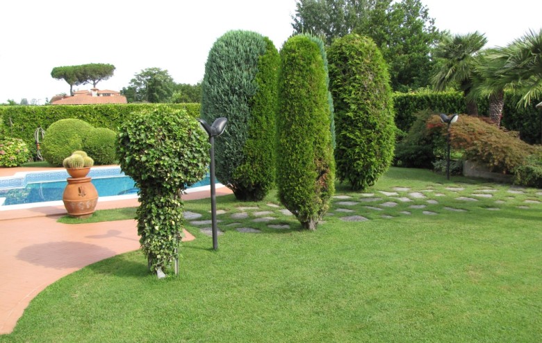 Villa singola in vendita a Pietrasanta