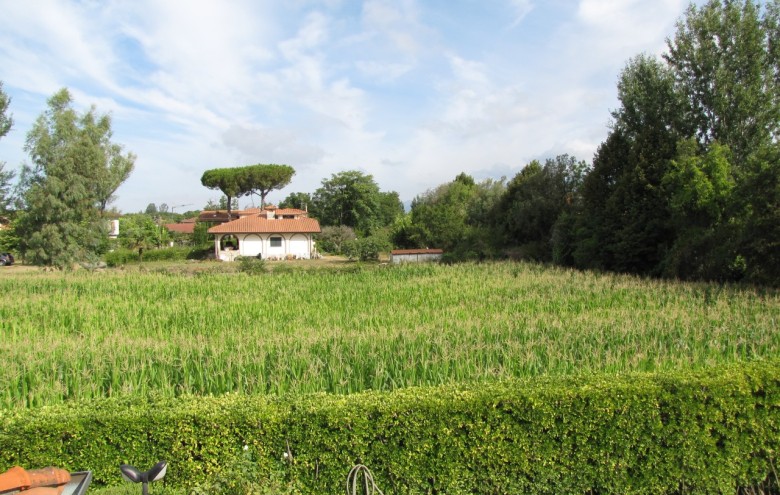 Villa singola in vendita a Pietrasanta