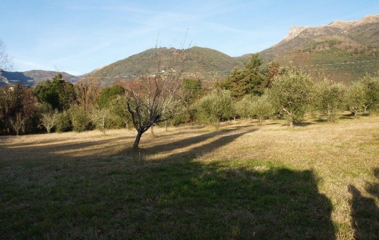 Villa singola in vendita a Camaiore