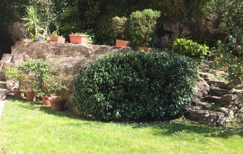 Villa singola in vendita a Seravezza