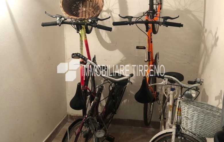 Appartamento in affitto a Massa