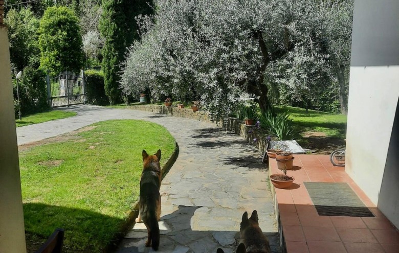 Villa singola in vendita a Massa