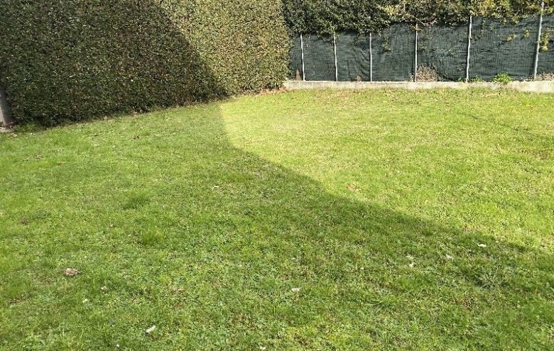 Appartamento in affitto a Pietrasanta