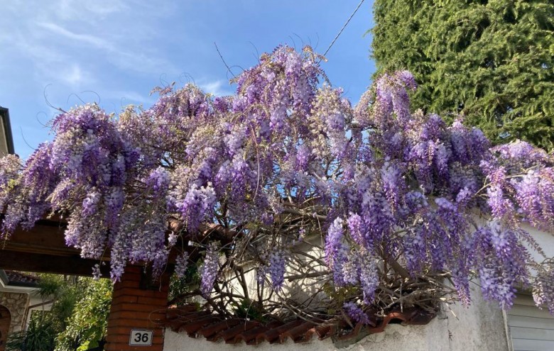 Bifamiliare in vendita a Massa