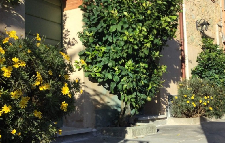 Rustico in vendita a Camaiore