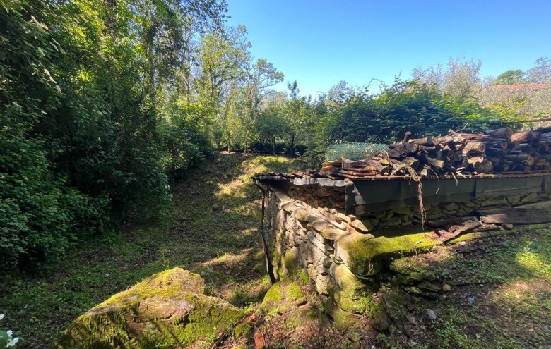 Villa singola in vendita a Massa