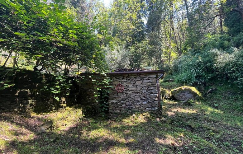 Villa singola in vendita a Massa