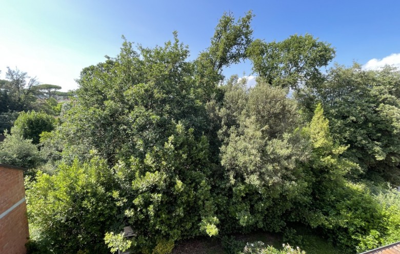 Villa singola in vendita a Pietrasanta