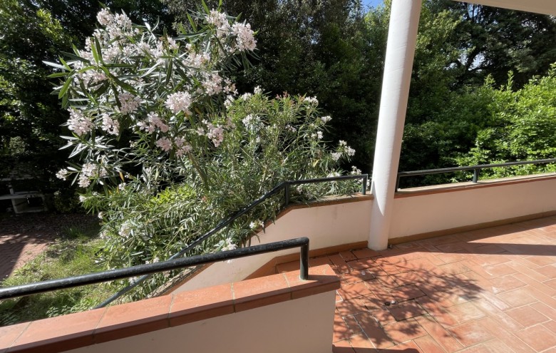 Villa singola in vendita a Pietrasanta