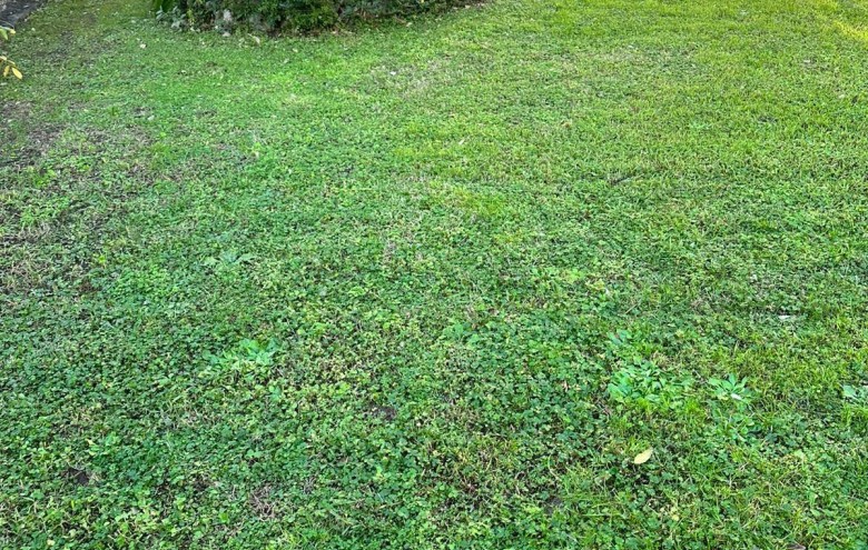 Villa singola in vendita a Massa