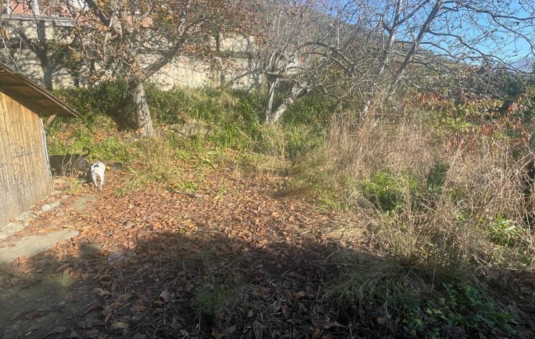 Terreno in vendita a Massa