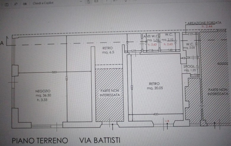 Fondo Commerciale in affitto a Viareggio