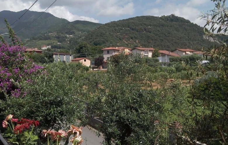 Bifamiliare in vendita a Montignoso