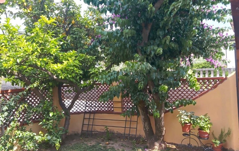 Bifamiliare in vendita a Montignoso