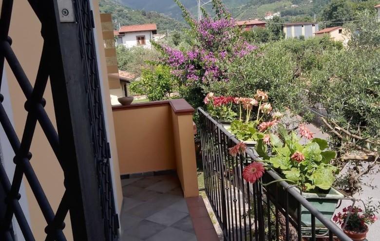 Bifamiliare in vendita a Montignoso