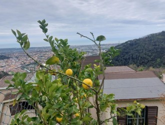 Villa singola in vendita a Bergiola
