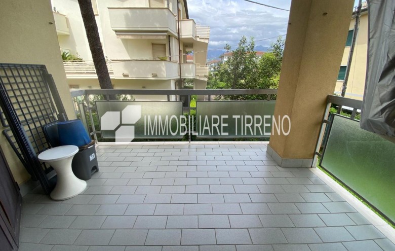 Appartamento in affitto a Massa