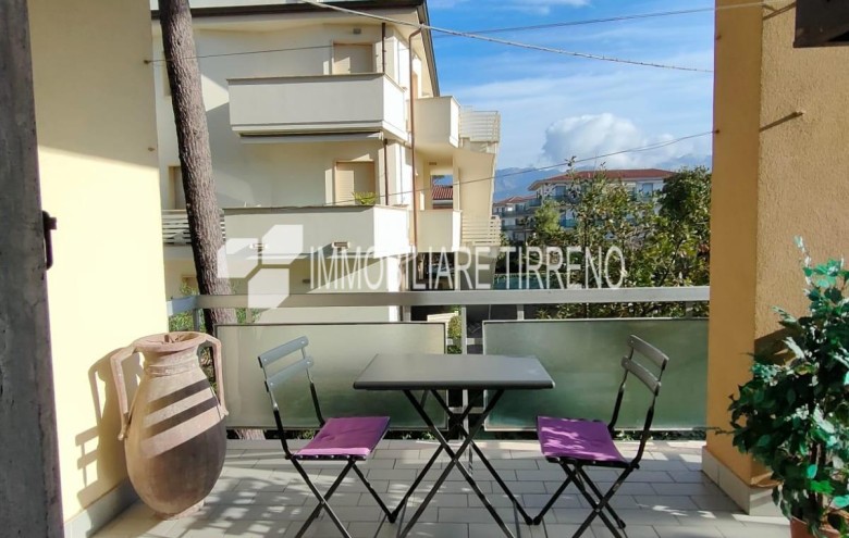 Appartamento in affitto a Massa