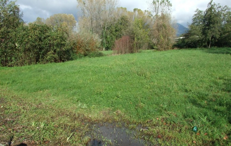 Terreno in vendita a Massa