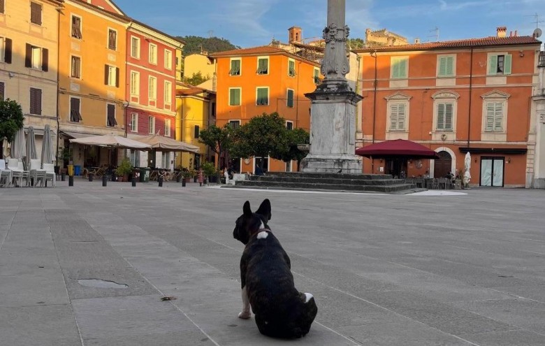 Appartamento in vendita a Massa