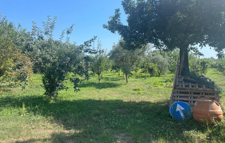 Villa singola in vendita a Pietrasanta