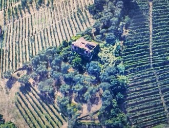 Rustico in vendita a Massa