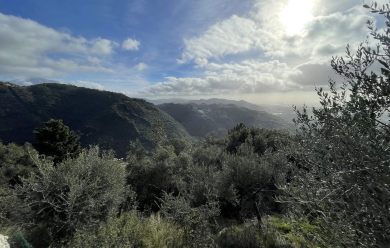 Villa singola in vendita a Pietrasanta