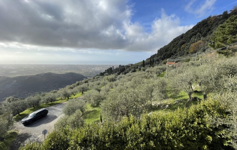 Villa singola in vendita a Pietrasanta