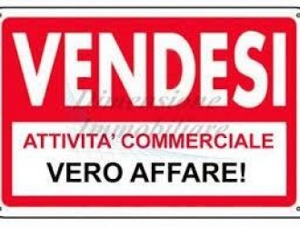 Attività Commerciale in vendita a Massa