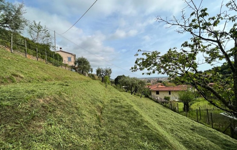 Rustico in vendita a Pietrasanta