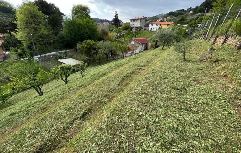 Rustico in vendita a Pietrasanta