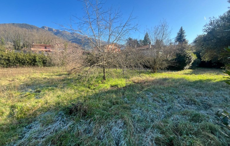 Villa singola in vendita a Camaiore