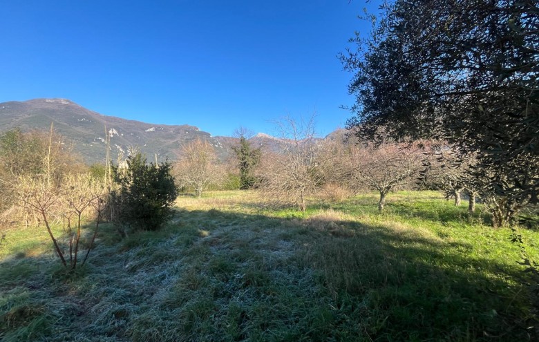 Villa singola in vendita a Camaiore