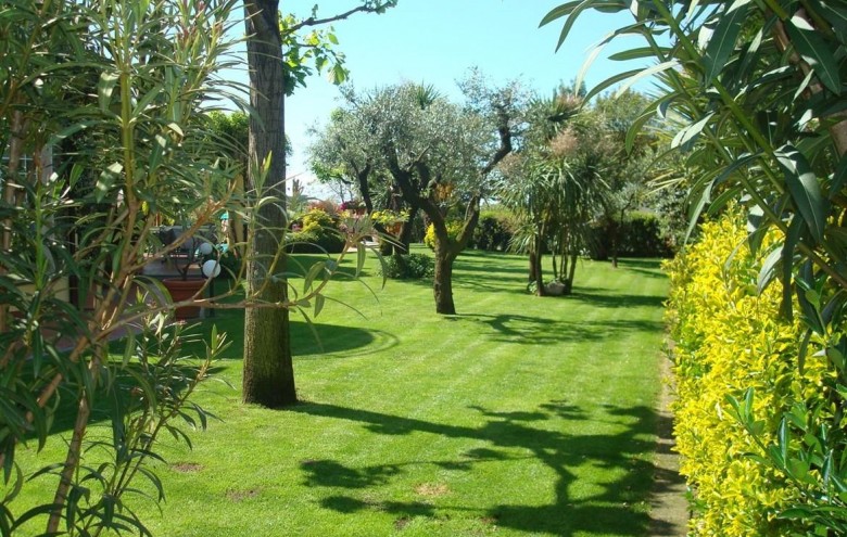 Villa singola in vendita a Montignoso