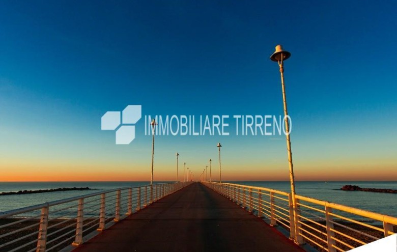 Attività Commerciale in vendita a Massa