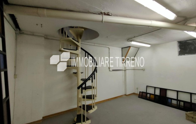 Attività Commerciale in vendita a Massa