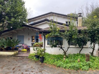 Villa singola in vendita a Camaiore