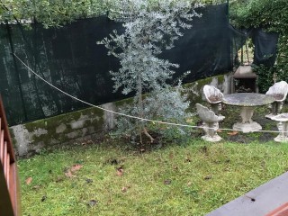Appartamento in vendita a Marina di Massa
