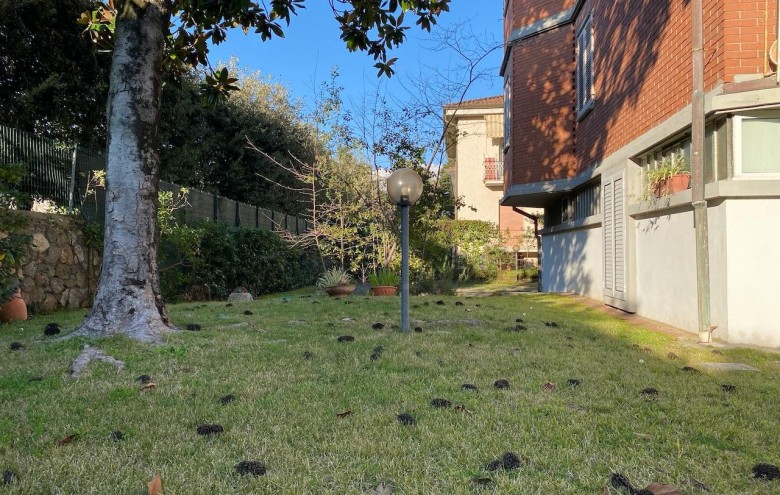 Appartamento in vendita a Massa