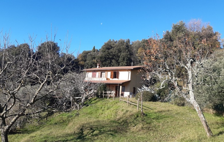 Villa singola in vendita a Pietrasanta