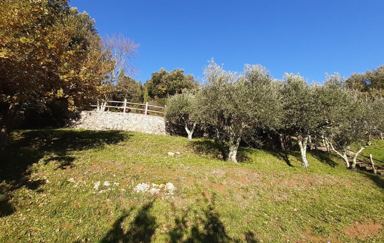 Villa singola in vendita a Pietrasanta