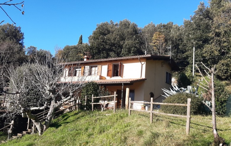 Villa singola in vendita a Pietrasanta