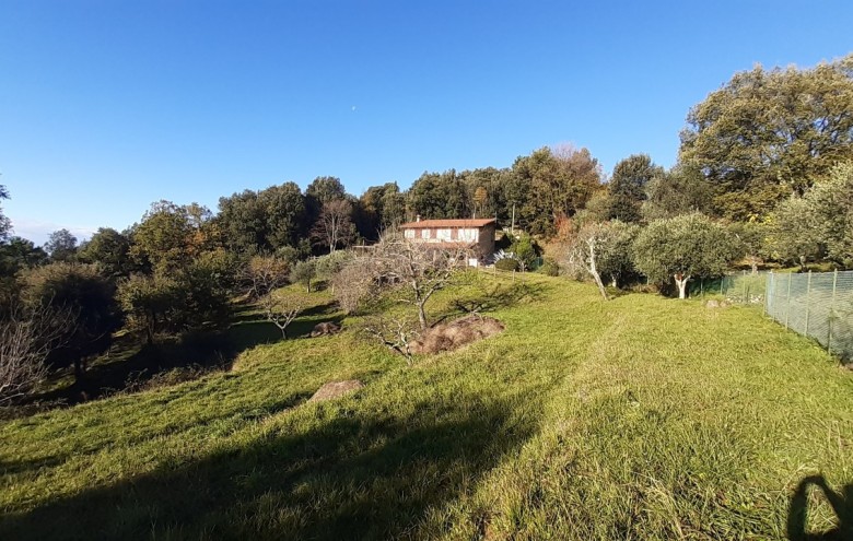 Villa singola in vendita a Pietrasanta