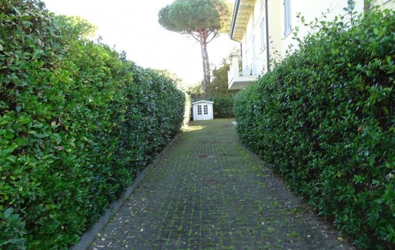 Villa singola in vendita a Montignoso