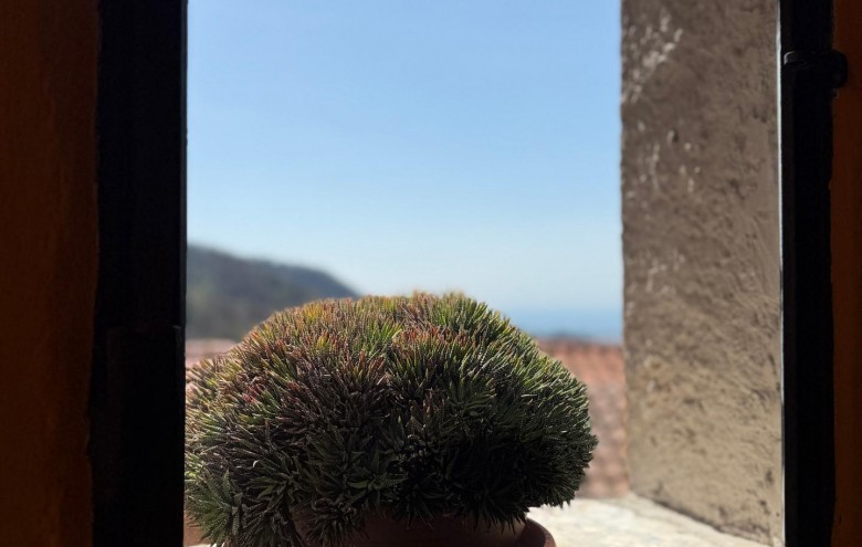 Terratetto in vendita a Massa