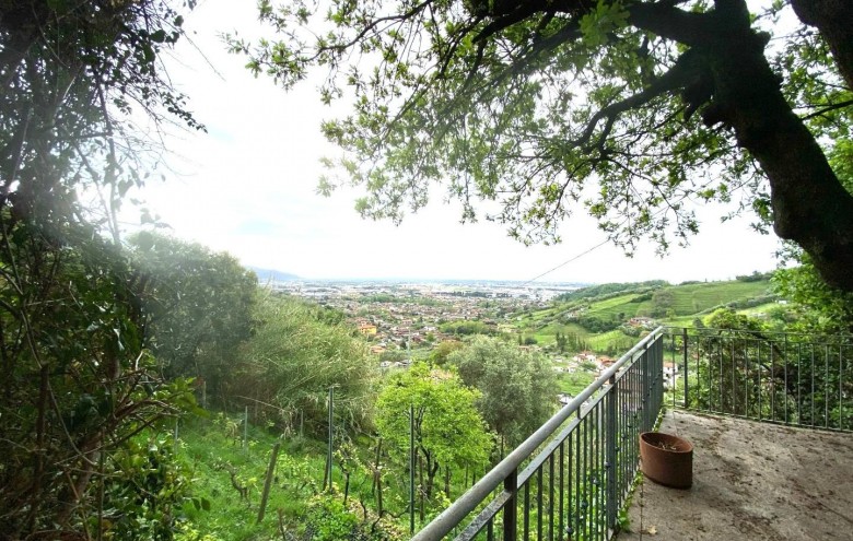 Villa singola in vendita a Massa