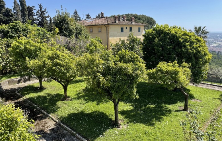 Villa singola in vendita a Camaiore