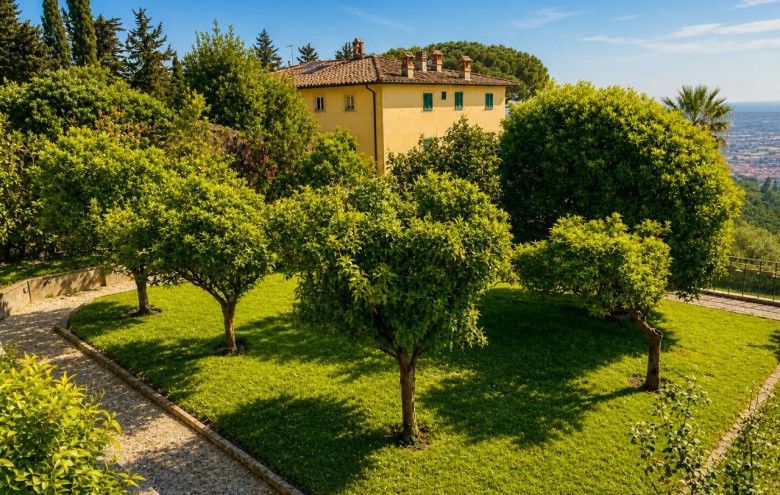 Villa singola in vendita a Camaiore